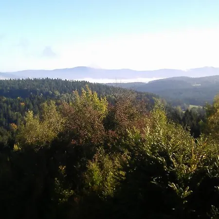 Donau Wald *