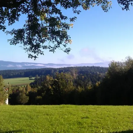 Donau Wald Apartman Bischofsmais